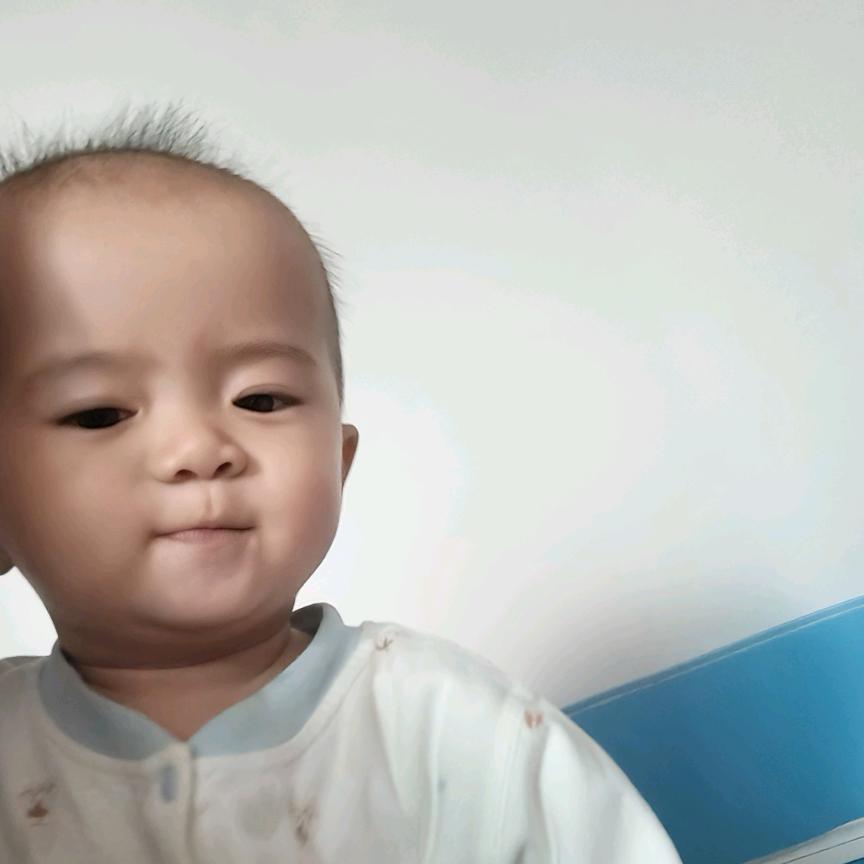 洛洛