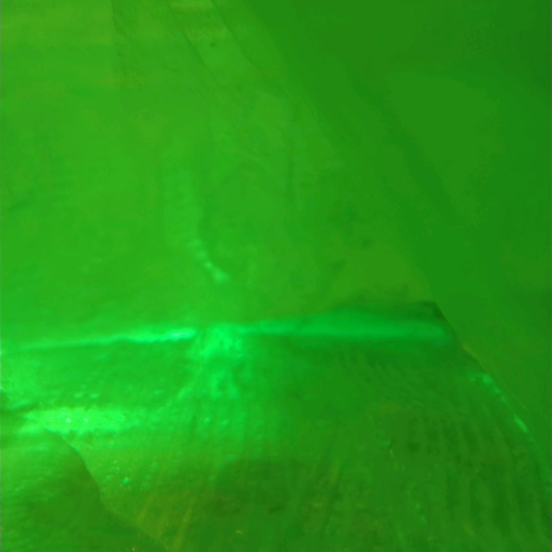 绿神