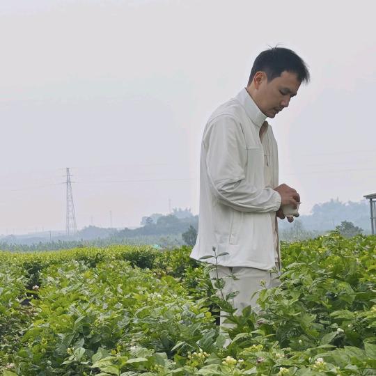 户外喝茶的蔡叔