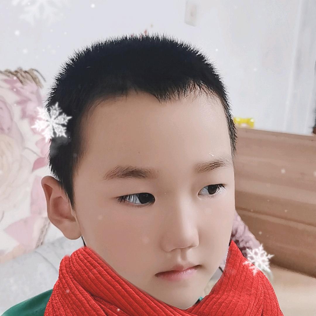 豪豪