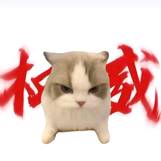 猫meme小蛋卷