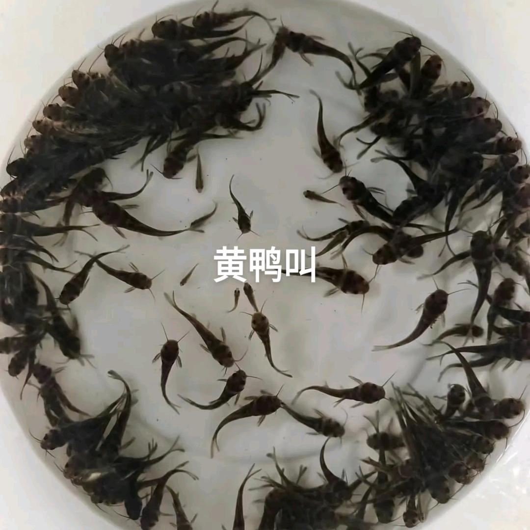 润田水产
