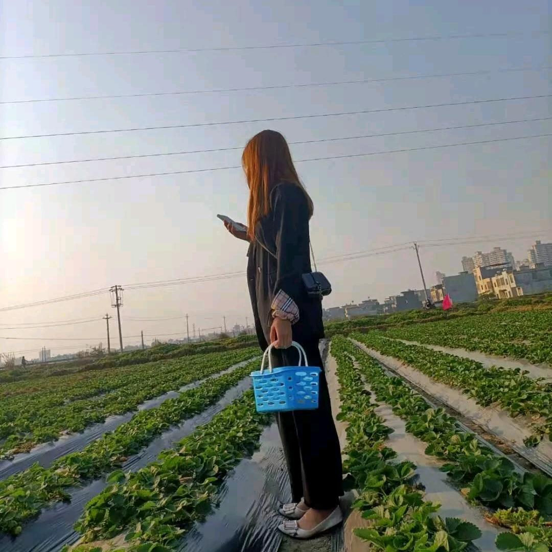 小燕燕