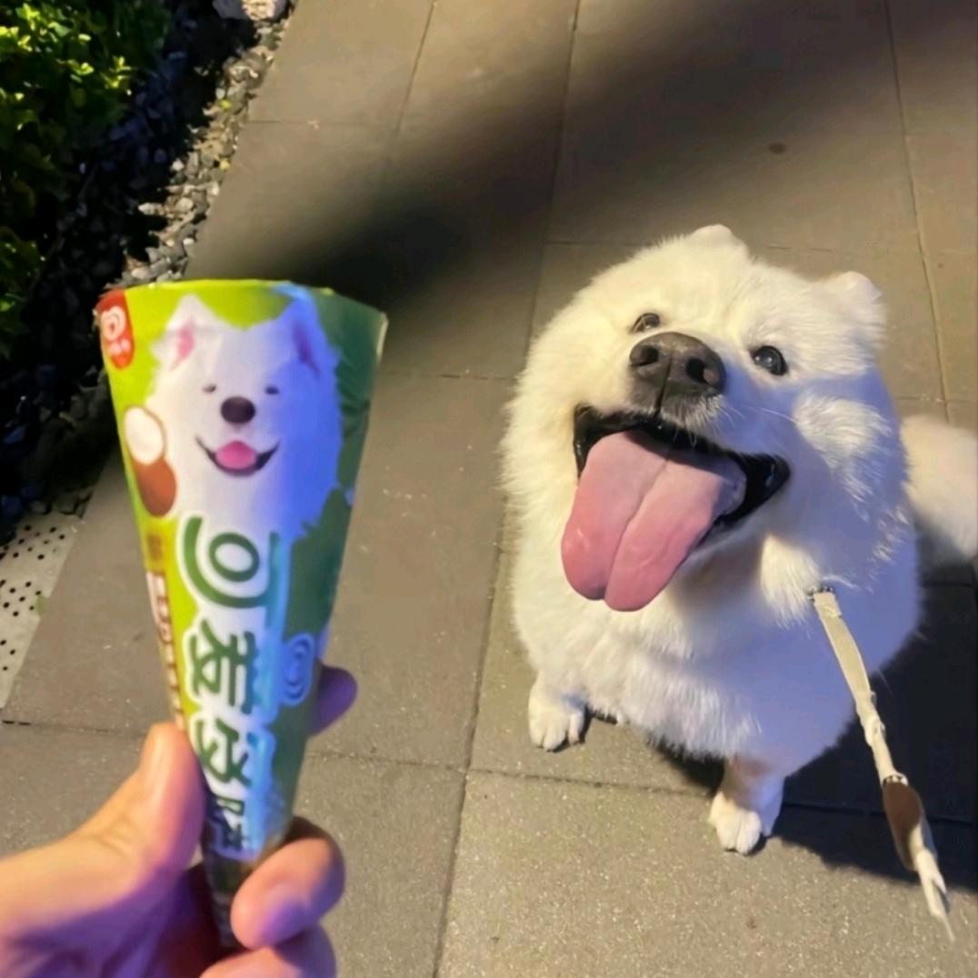 快飞啊飞