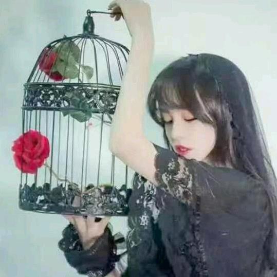 張子琪&