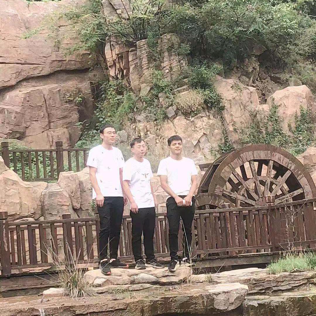 永不暗淡的鹏