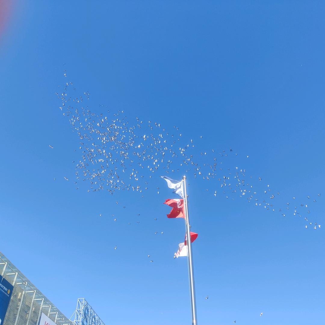 记忆是你的微笑