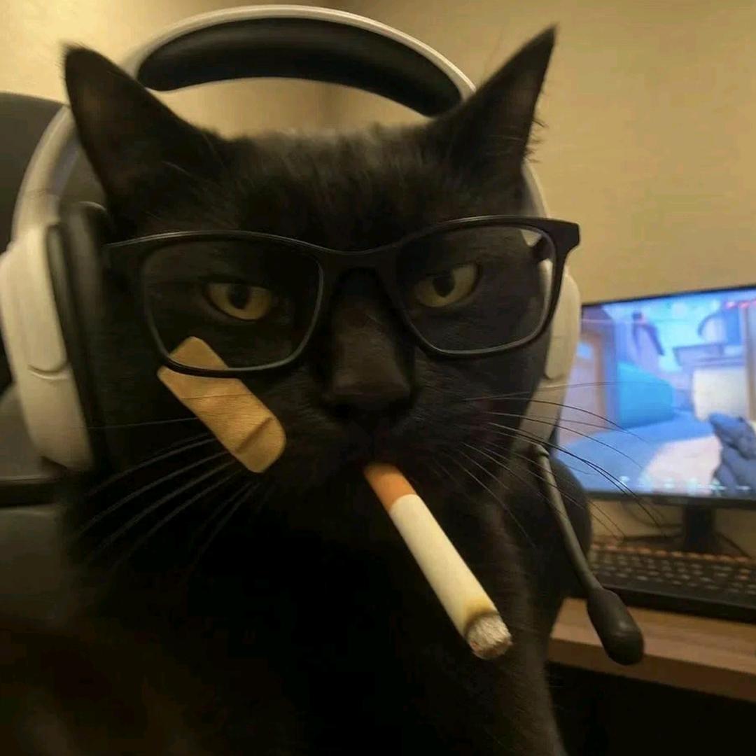出了名的拽（三角洲接等级单）