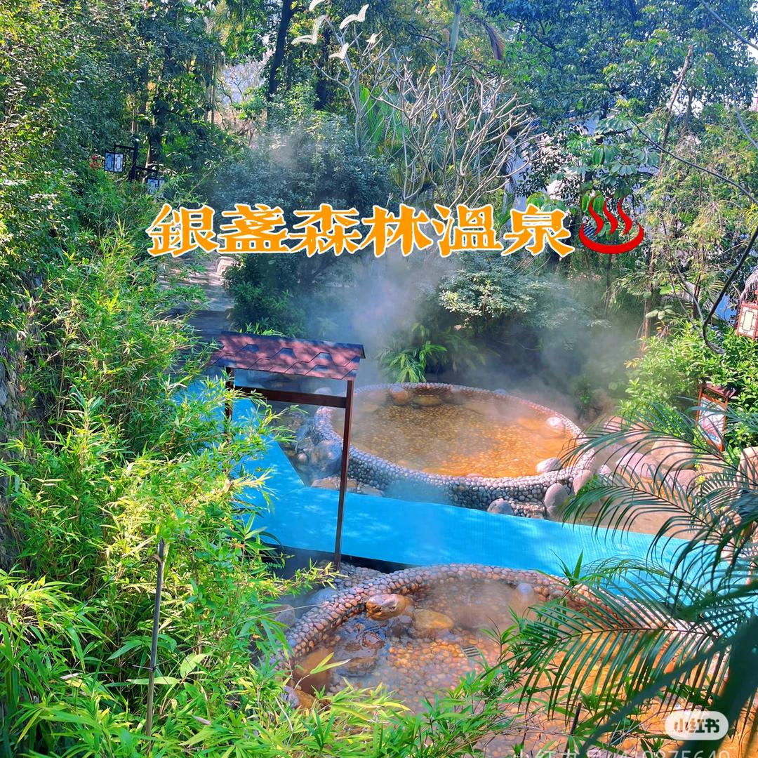 爱旅游的丫丫