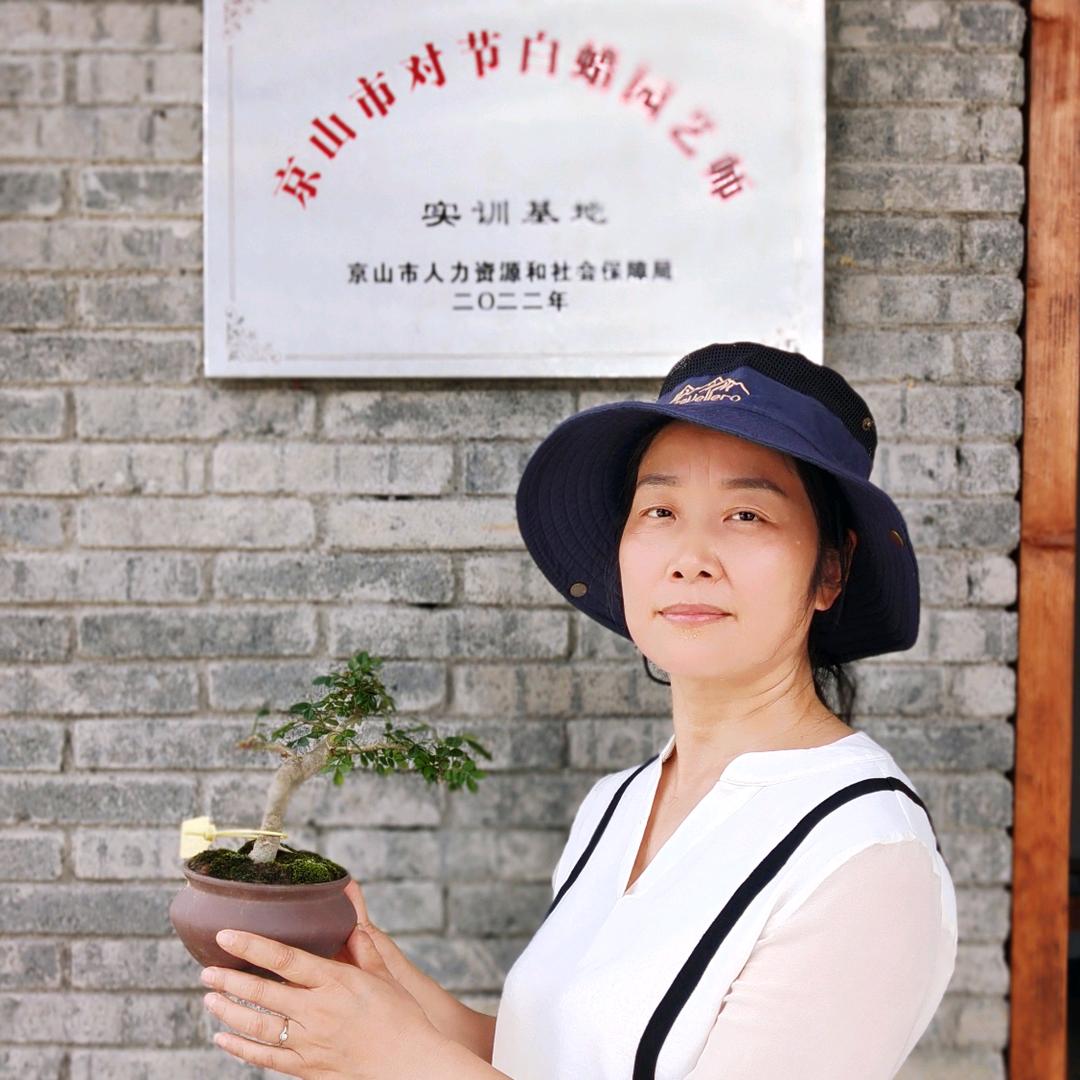 绿缘园艺（湖北京山对节白蜡）