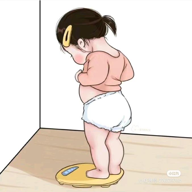 🐑阳宝（减肥版）
