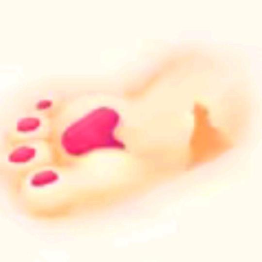 小园菜大姐