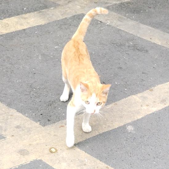 小潘分享日记