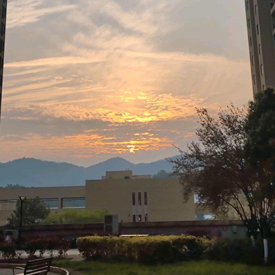 重生之我在重庆流浪