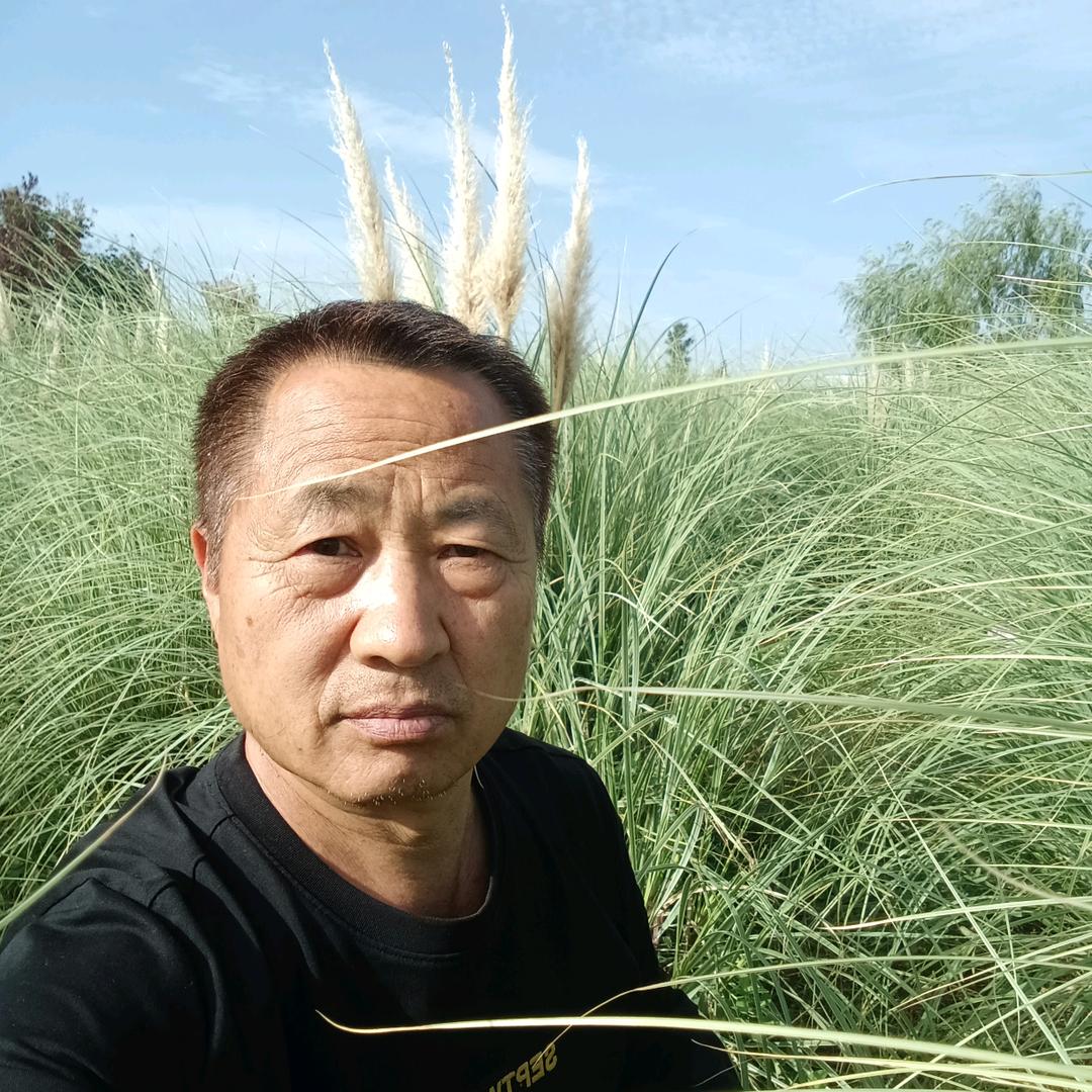 金土
