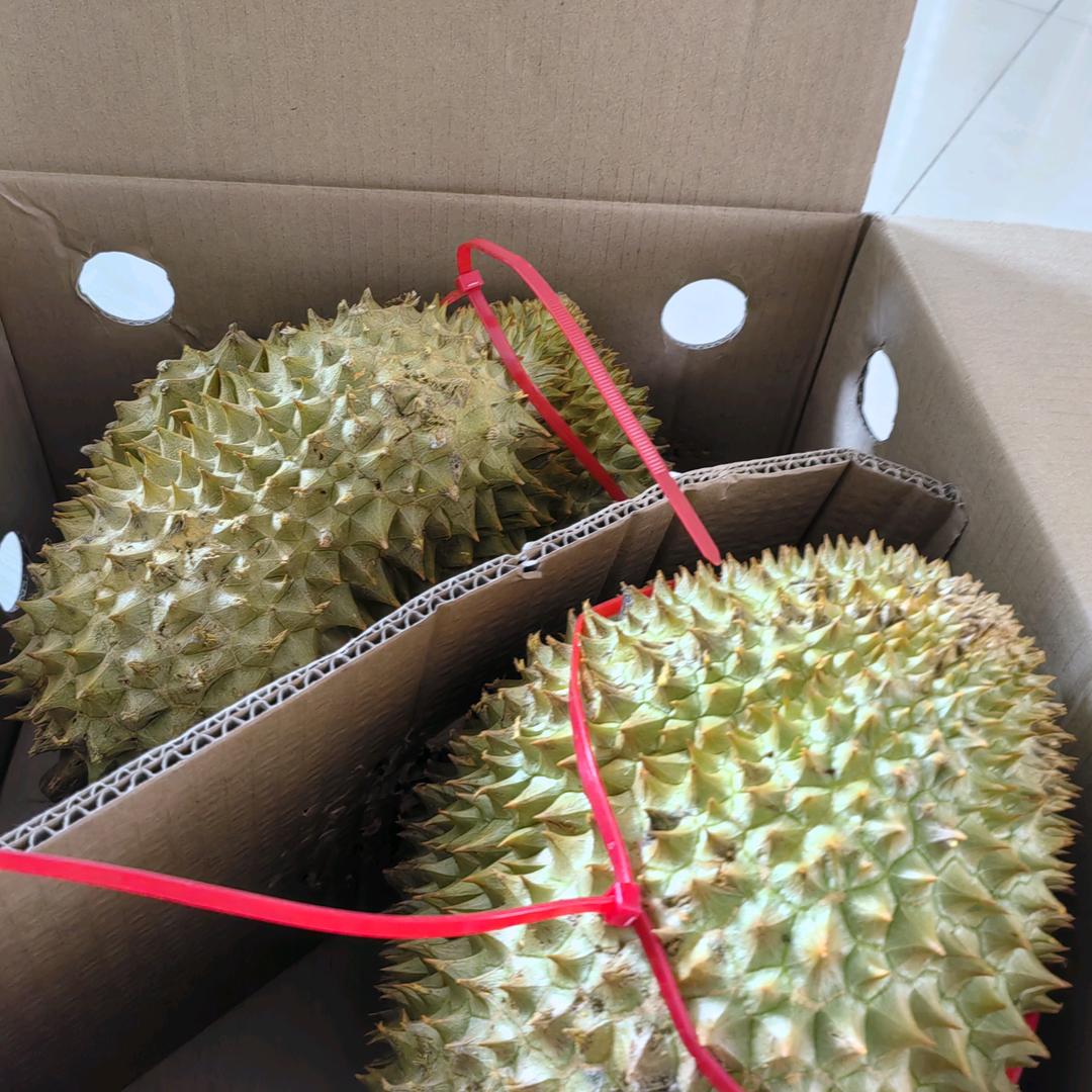 浊尘