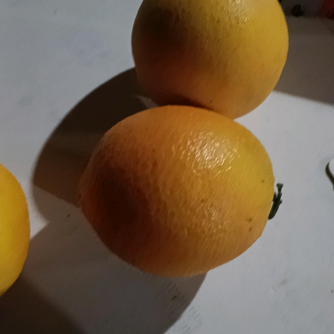 志联印刷包装刘生