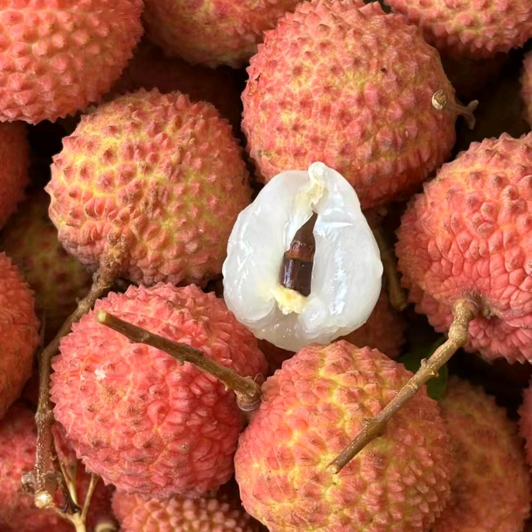 荔刻尝鲜