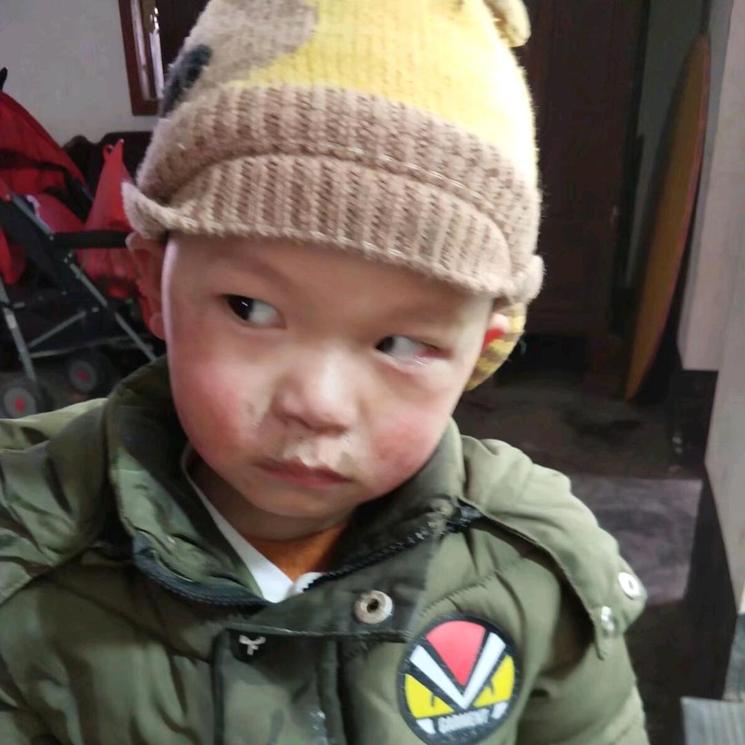 十一