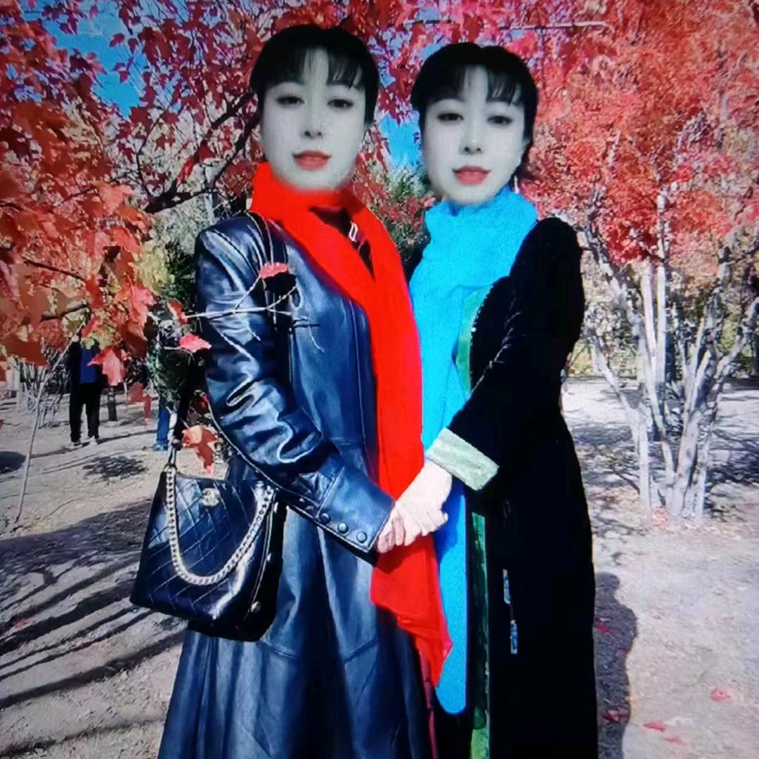 芬姐