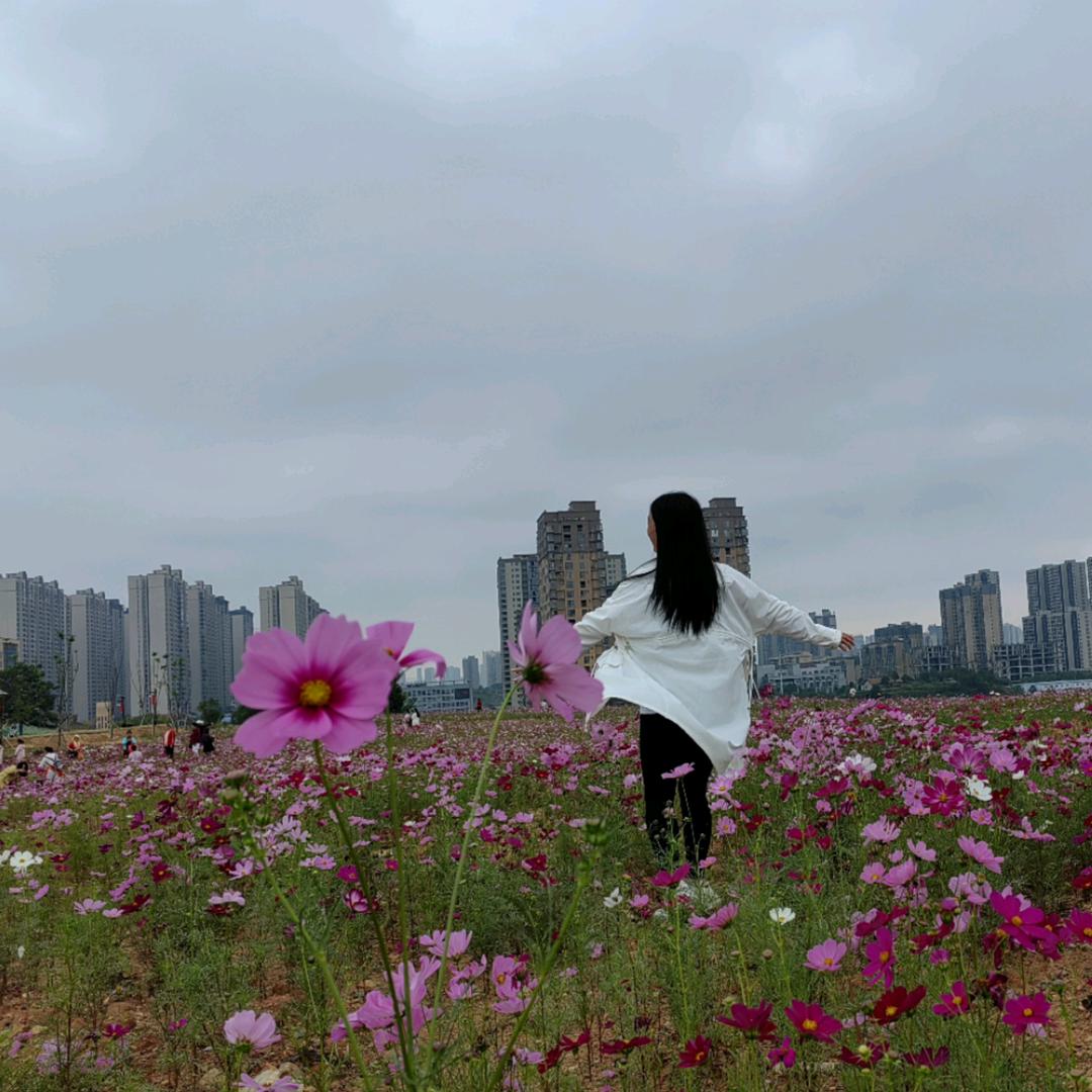 海的秘密🌼