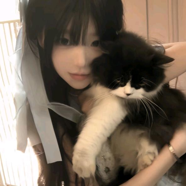 埋汰猫.⁷