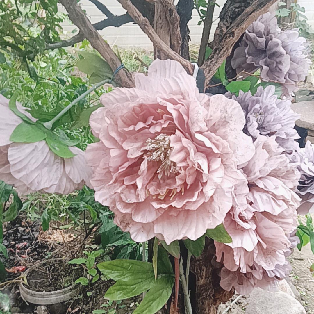 清野