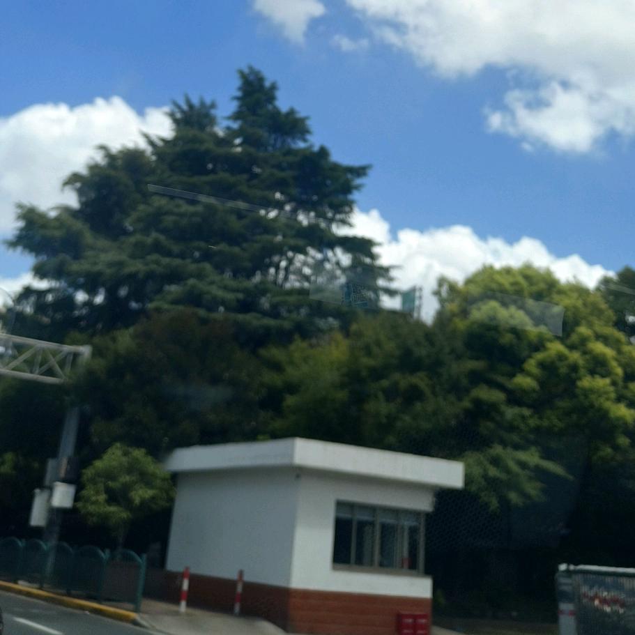 骑着乌龟去西藏