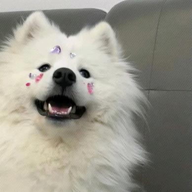 宗介在追ʿˀ⌢⃞̎ˁ