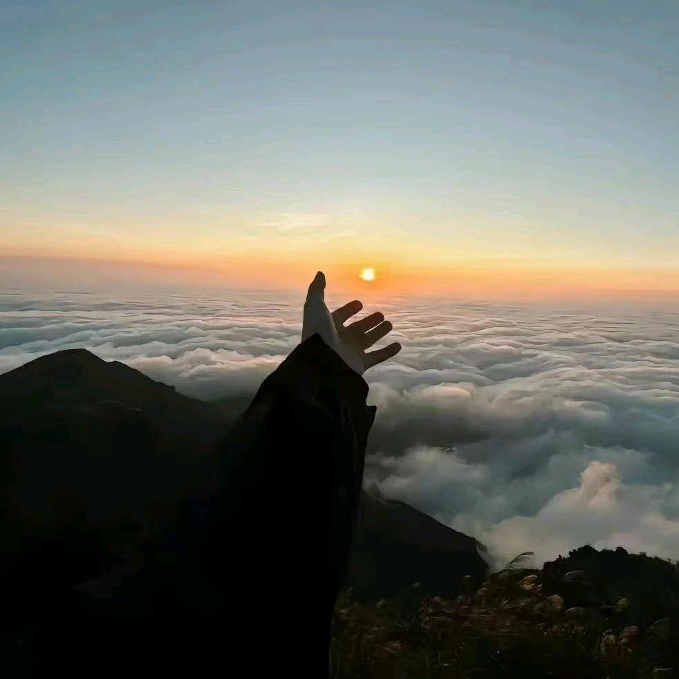 鑫多多