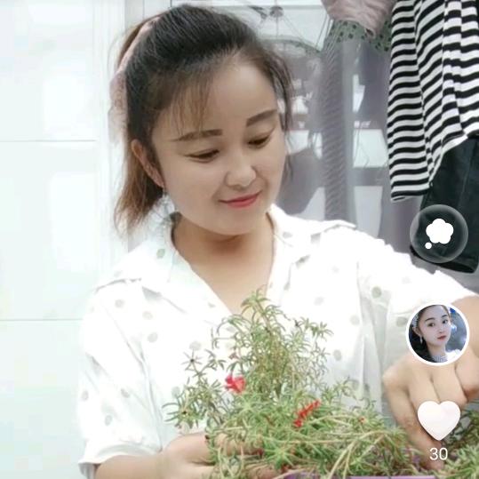 知足常乐，葛家大小姐，张家少夫人