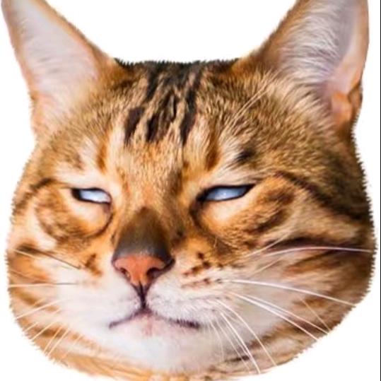😸🙀😾😿