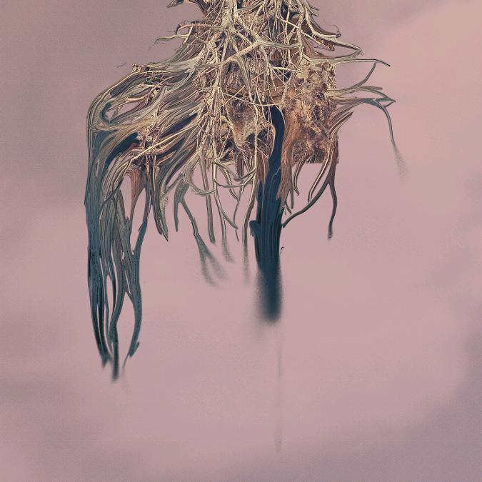 茫茫