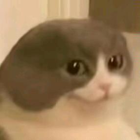 想吃点好的顺便躺平