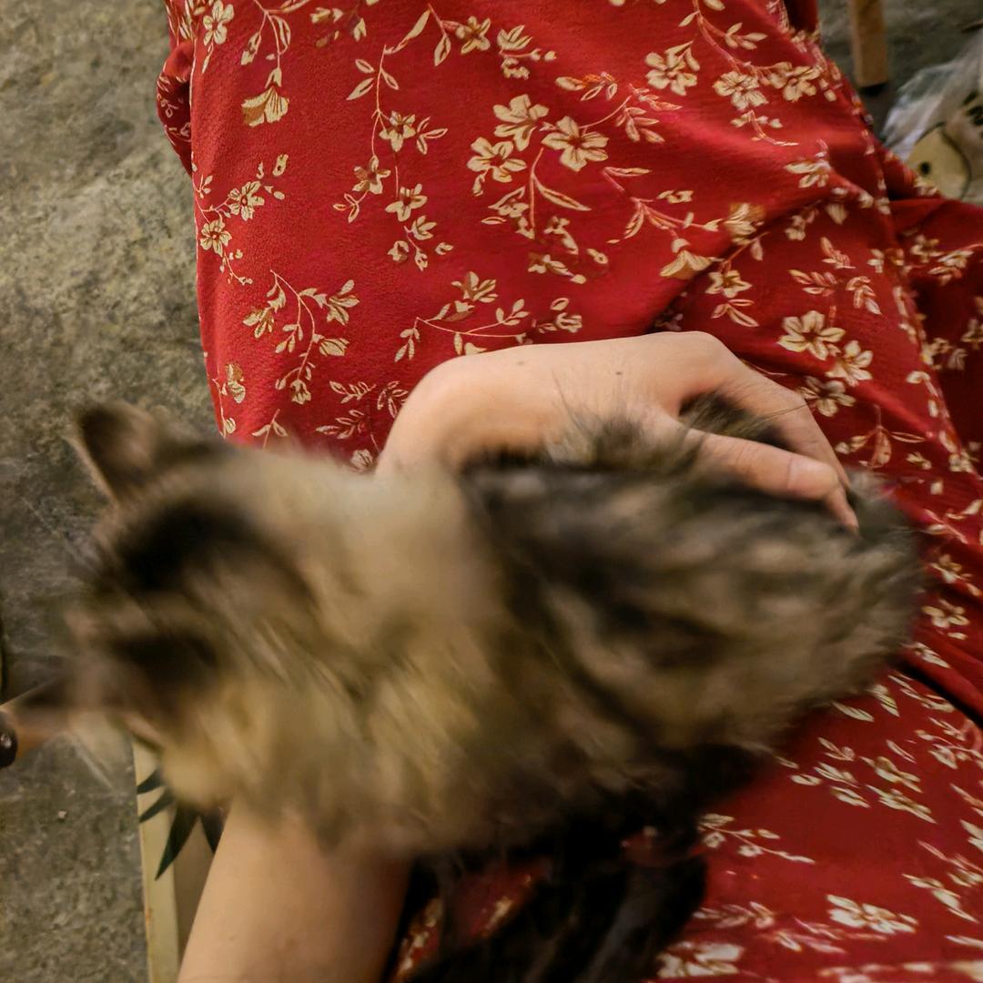 是我