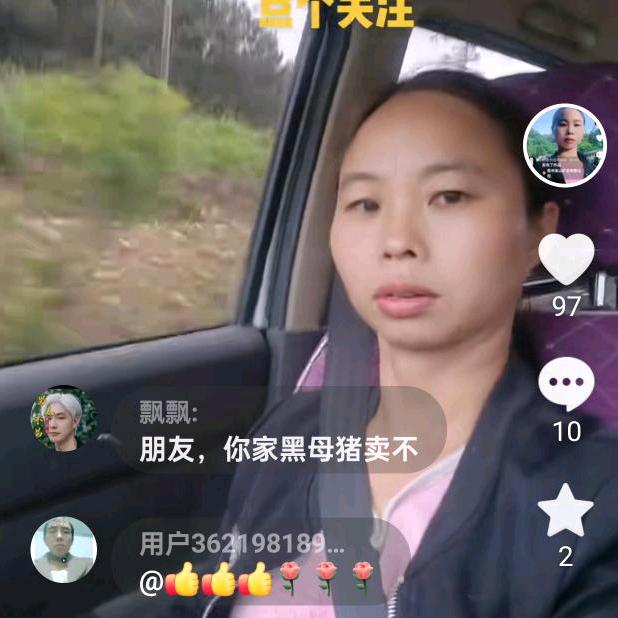 野猪养殖辛妹妹