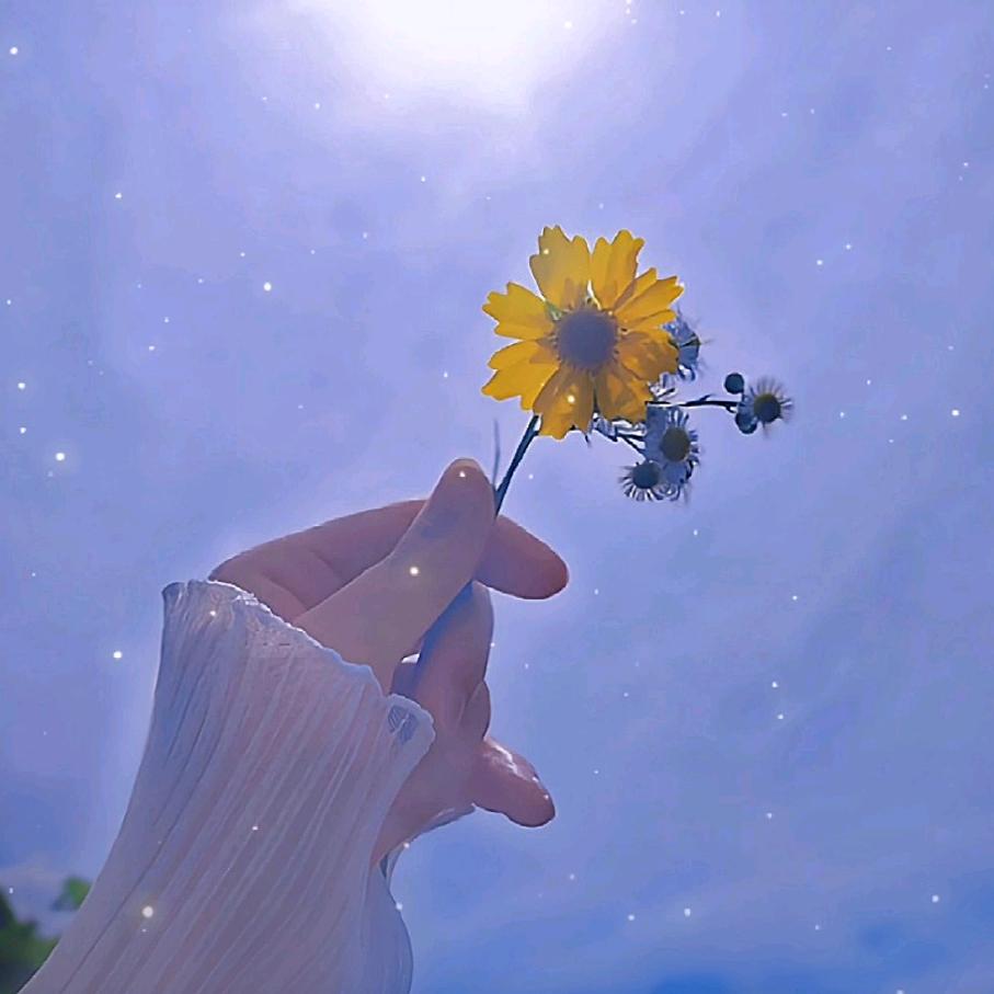 🌸自以为是的好🌻