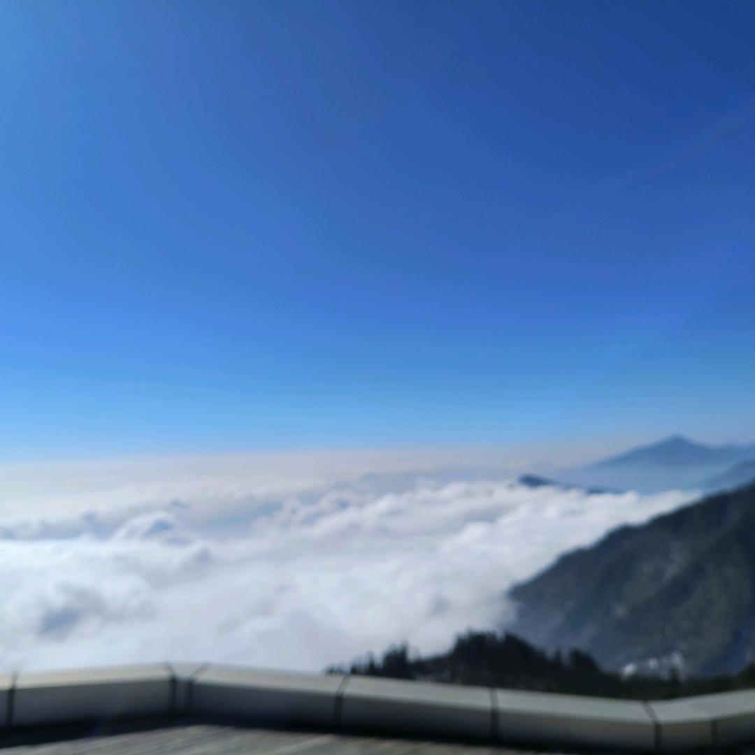 沉睡的天使
