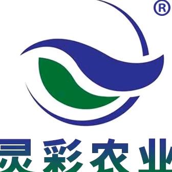 灵彩农业町琦冰糖子