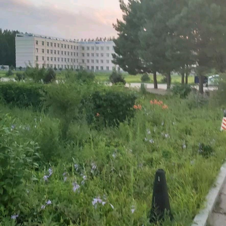 秋