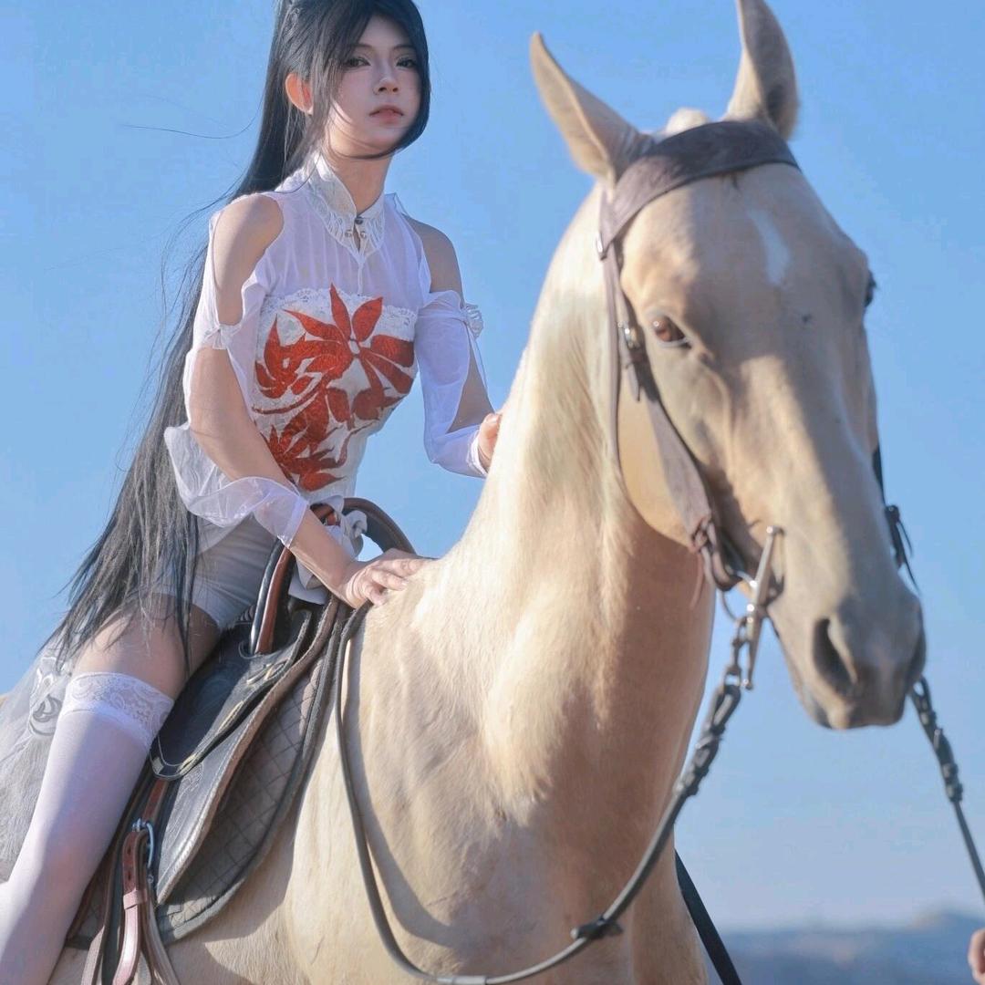大型养马场（回收出售马匹）