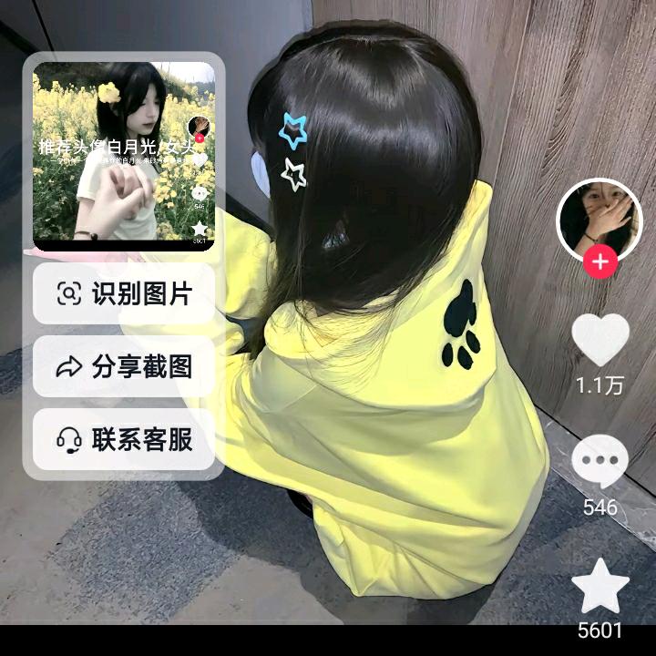 涛涛