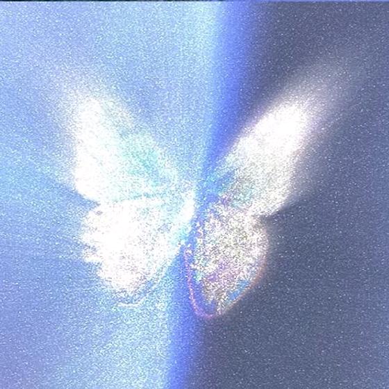 早早૮꒰˶ฅ́˘ฅ̀˶꒱ა