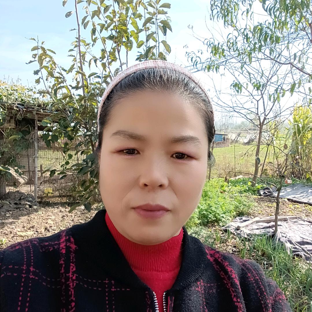 宝奶奶