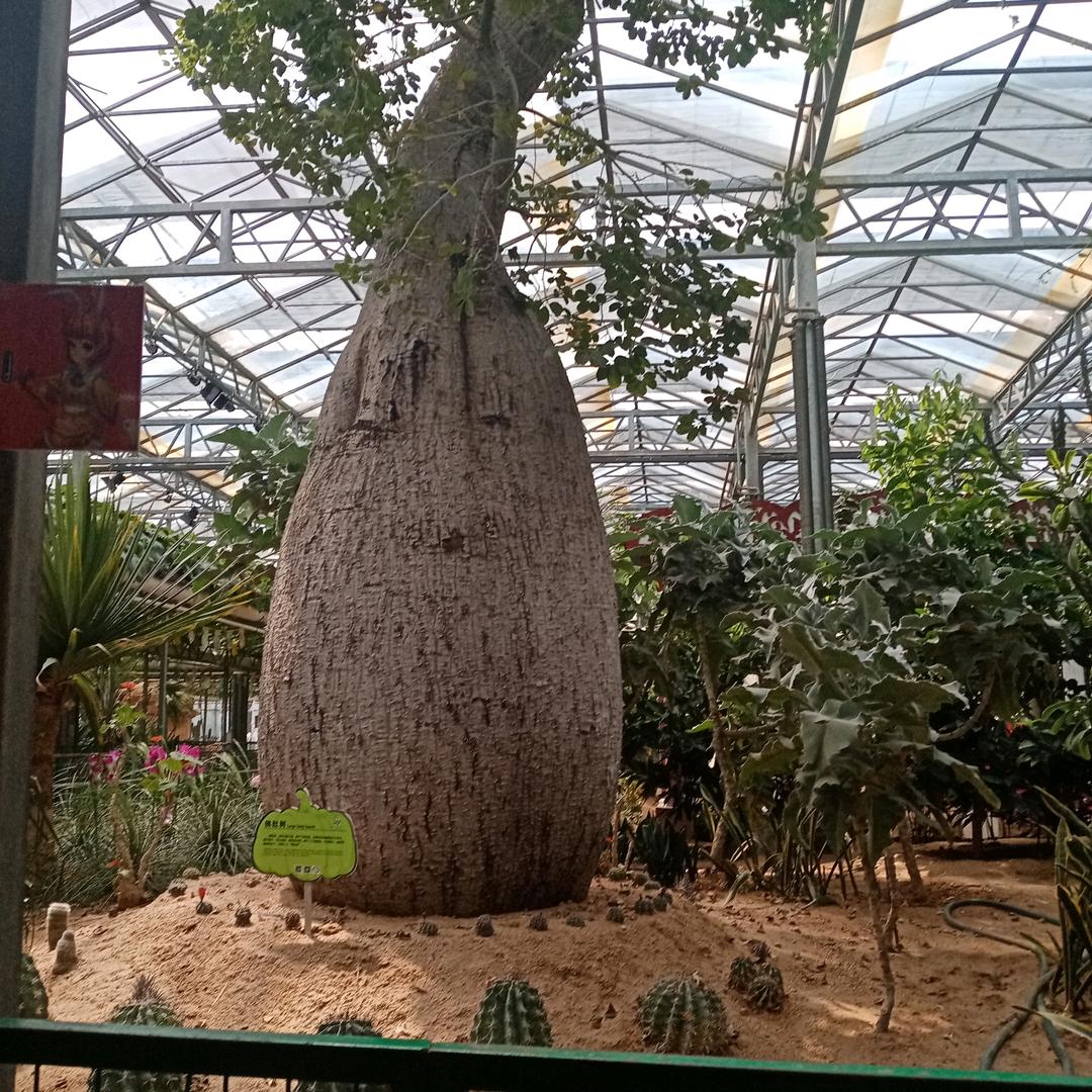 百年秘方专治：腰疼，腰疼，腰疼！