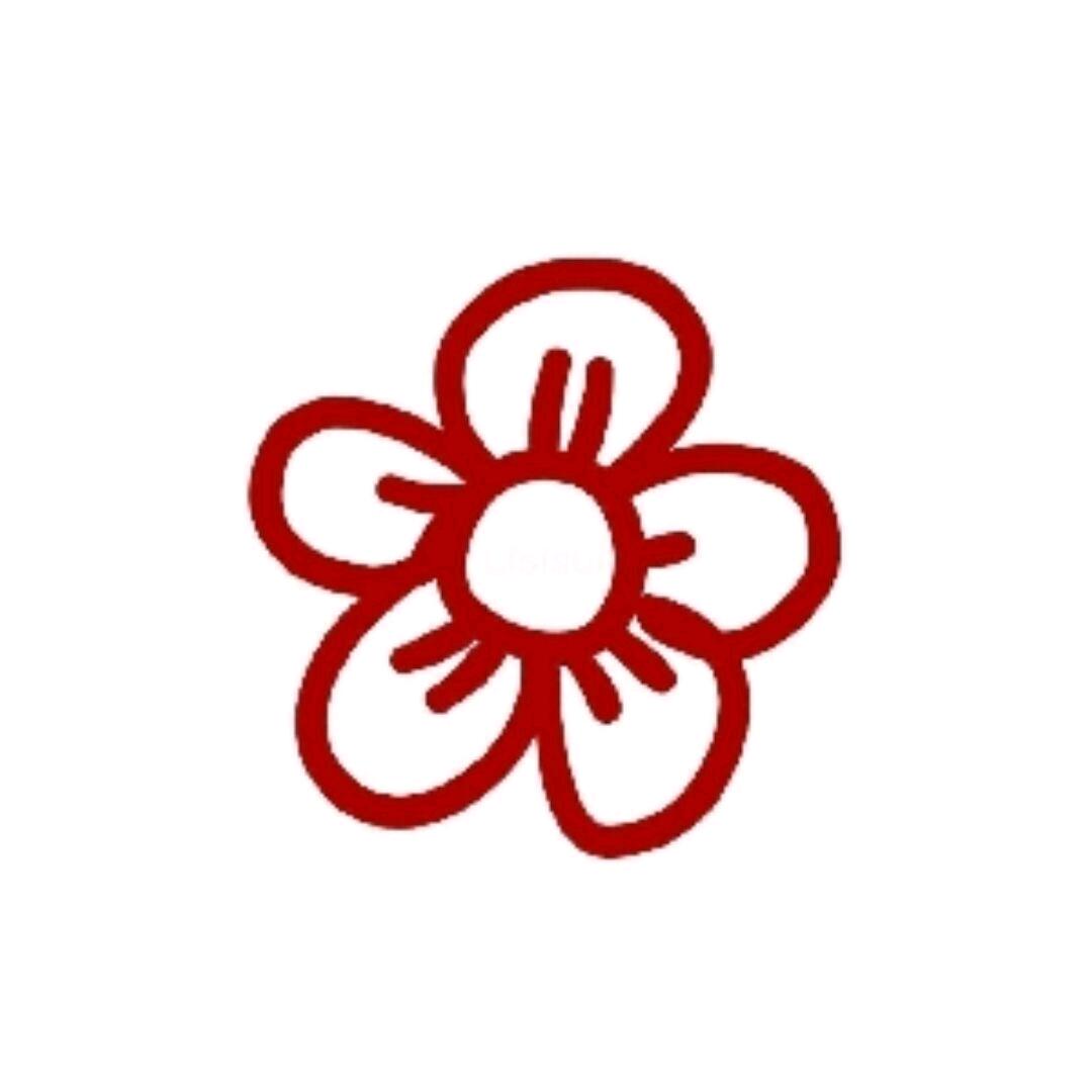 Aa小红花