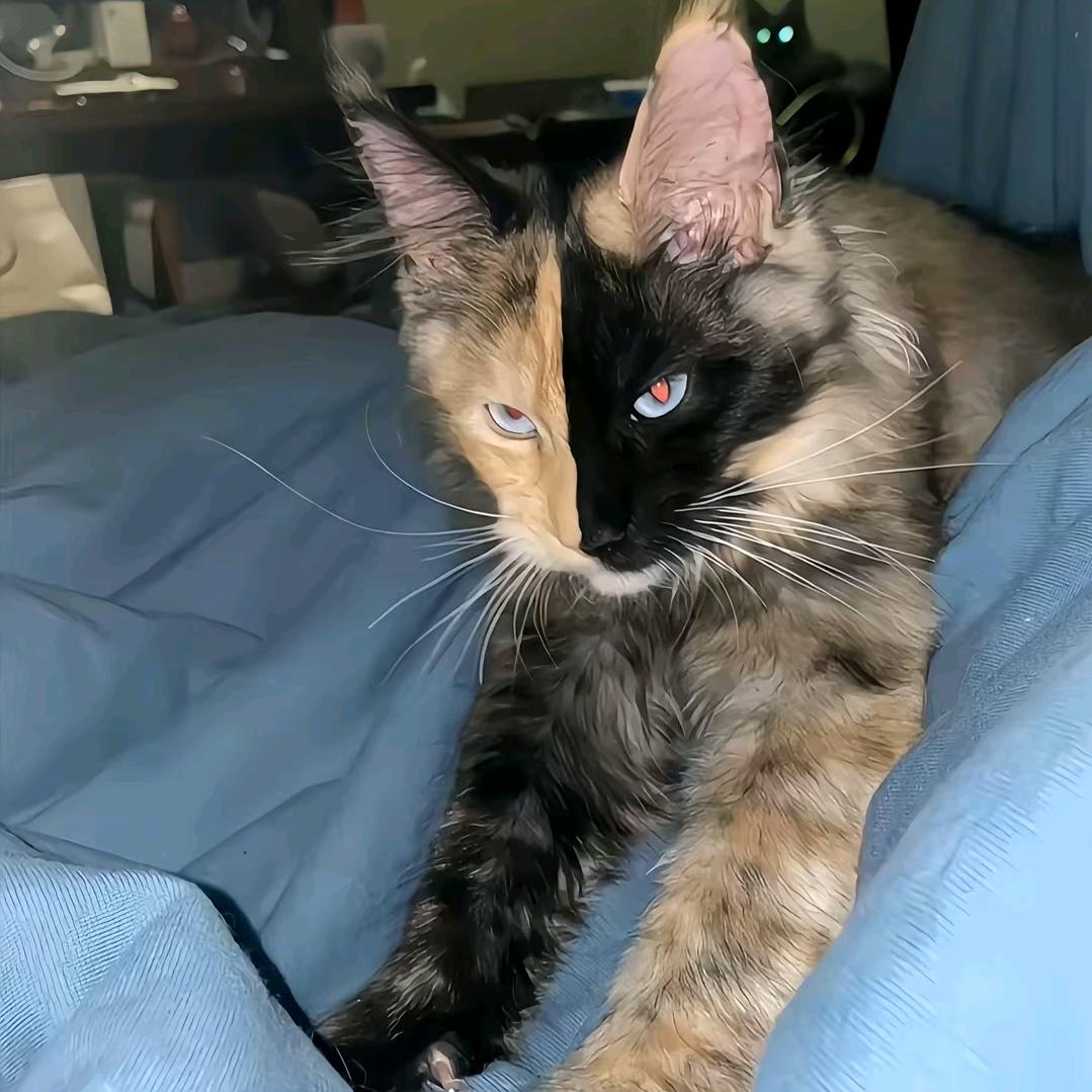 😈