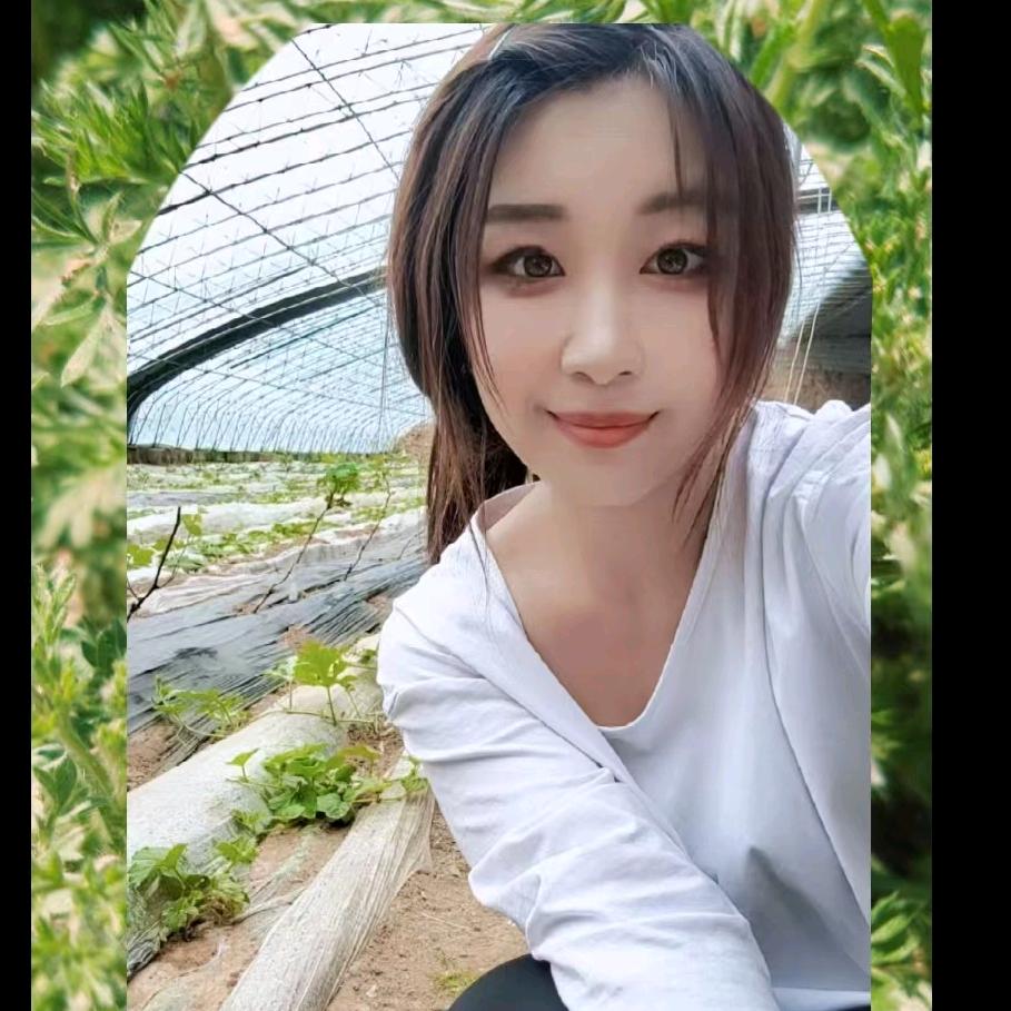 赤峰瑶瑶葡萄采摘园