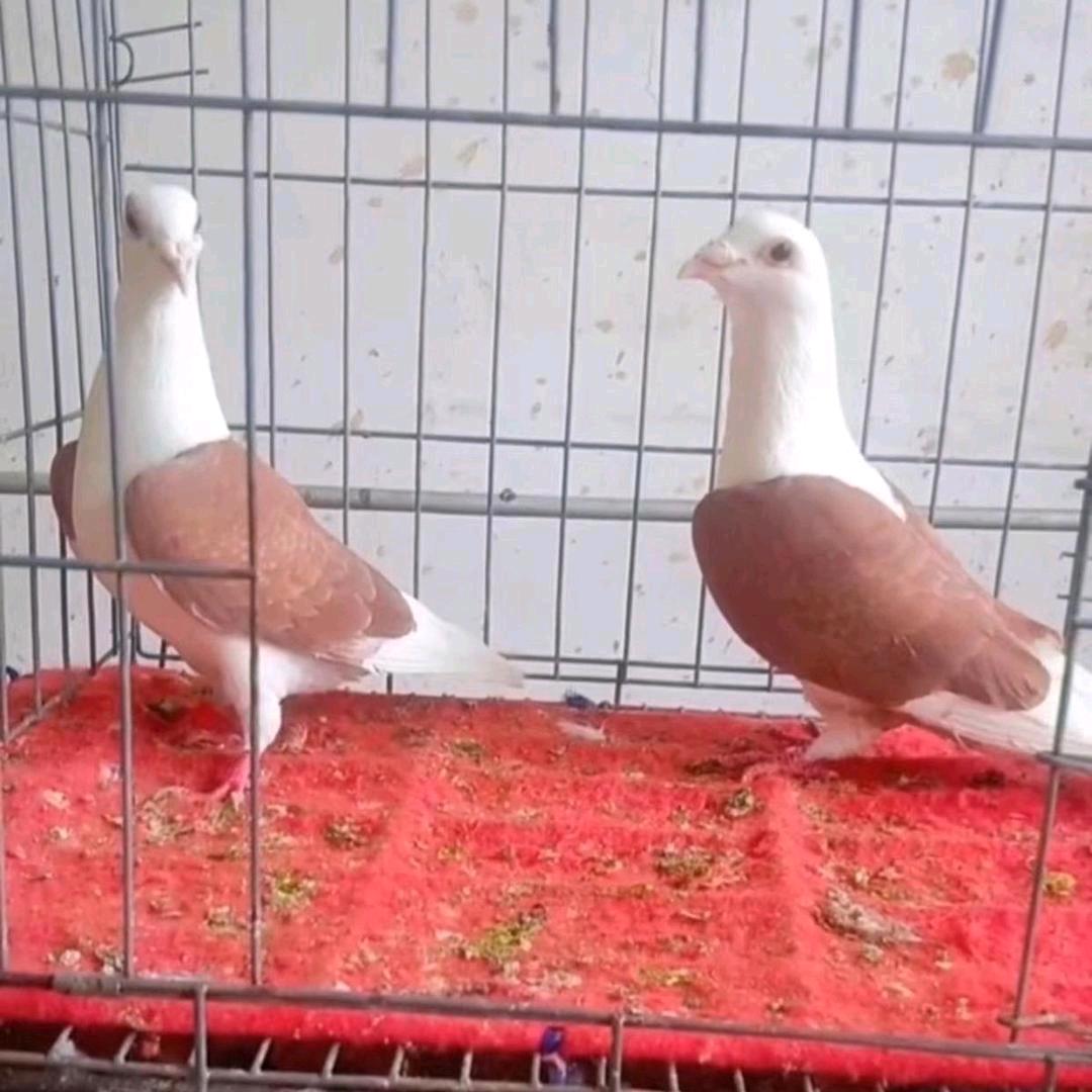 我的云
