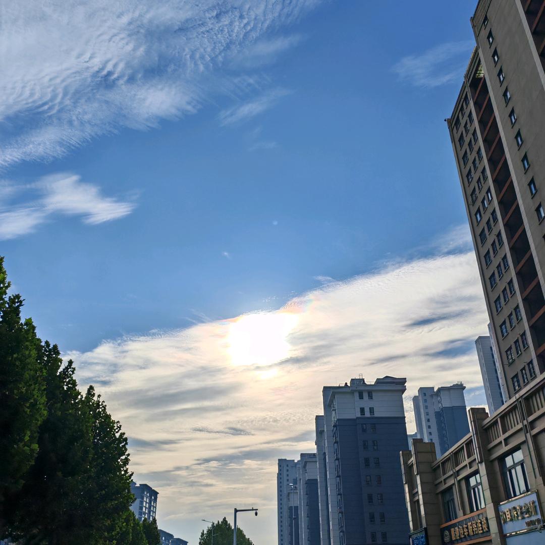 光爱展哲鑫